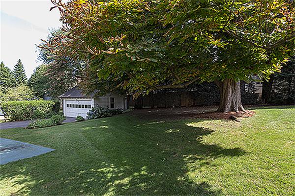 65 Bay State Road Belmont, MA 02478 - Photo 15 of 16 Gallery Image 15