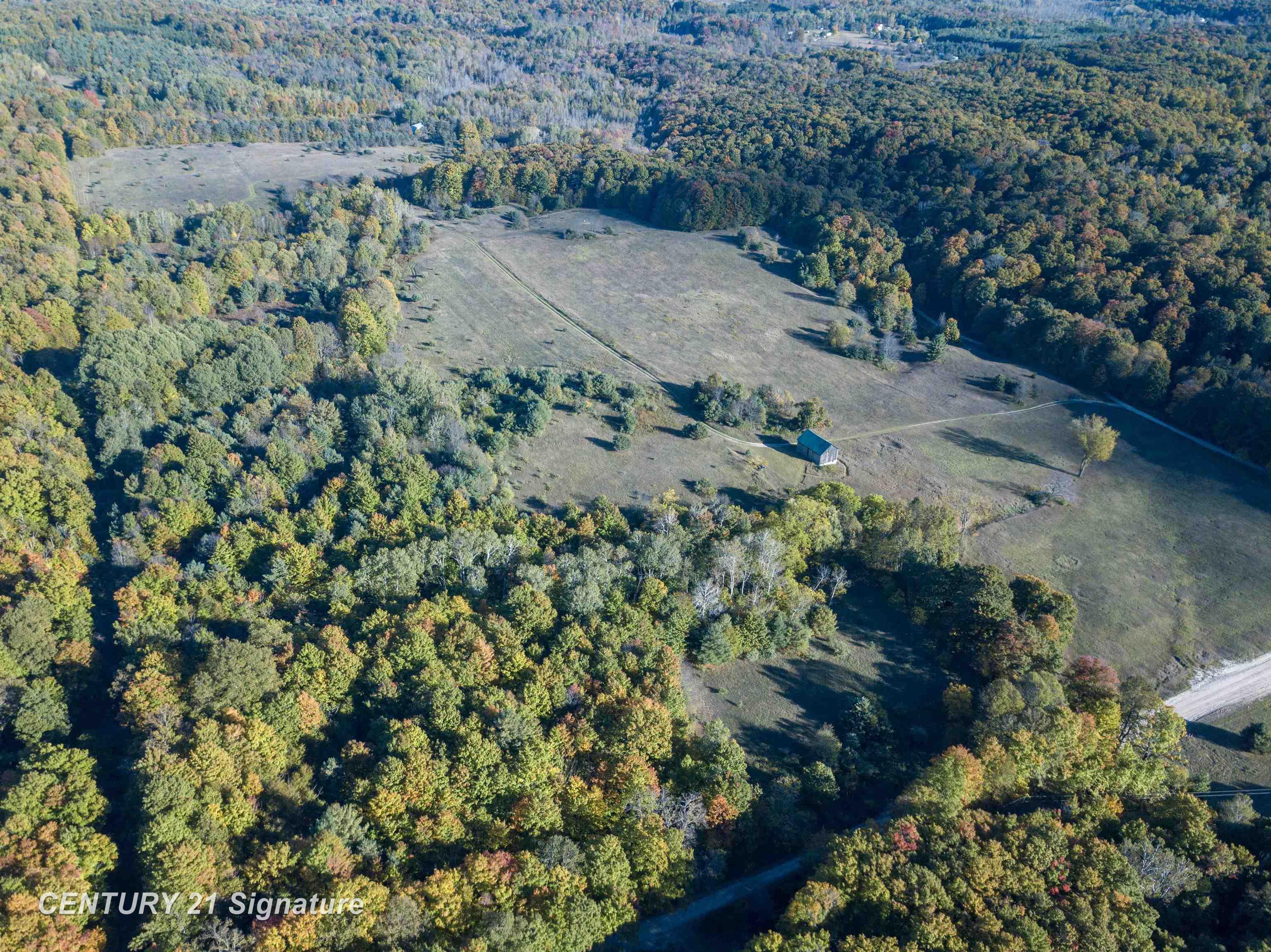 V/l Ritt Road Breckenridge, MI 48615 - Photo 5 of 11