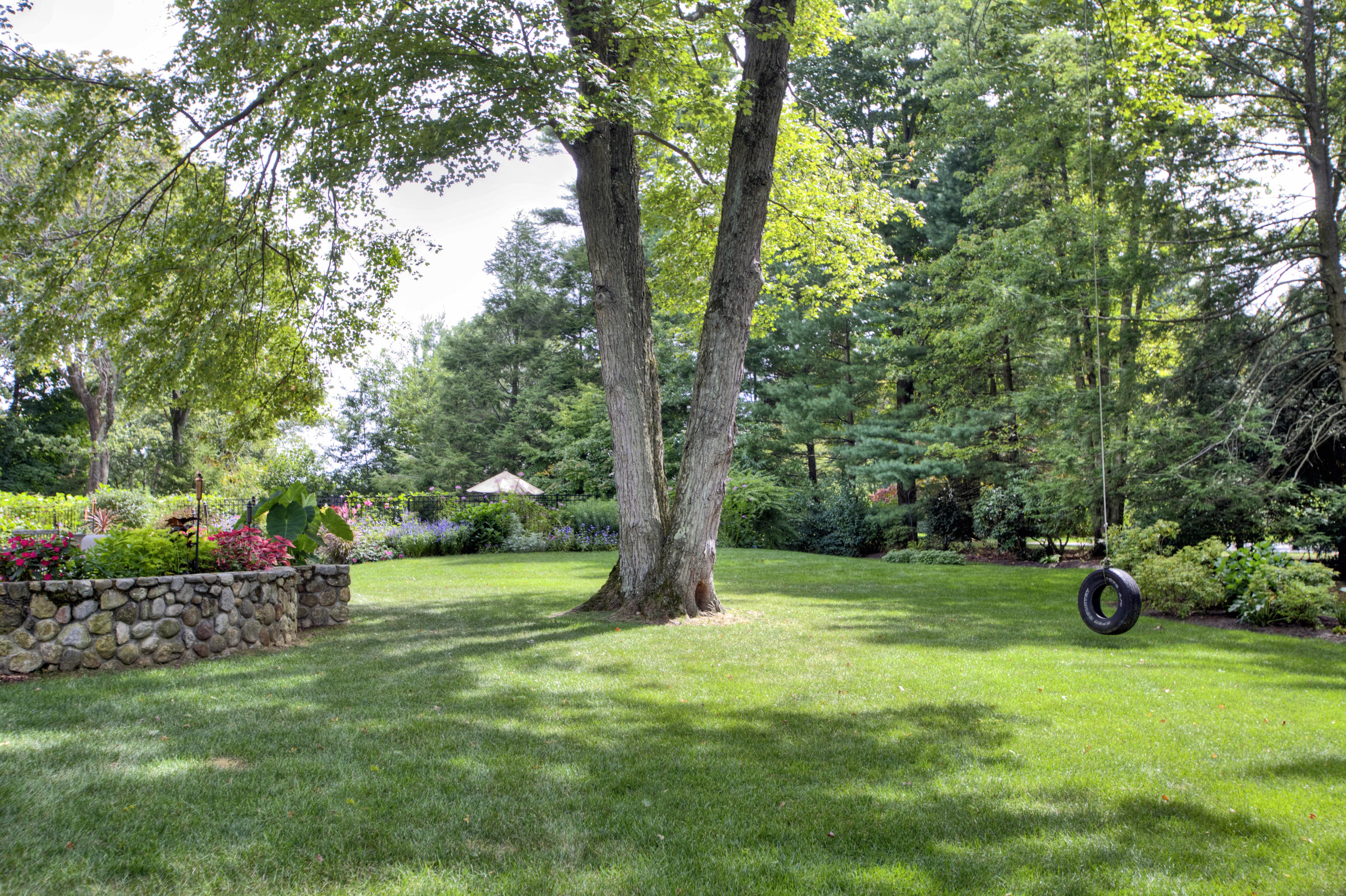 72 Ridge Acres Road Darien, CT 06820 - Photo 24 of 25 a view of a trees in a park