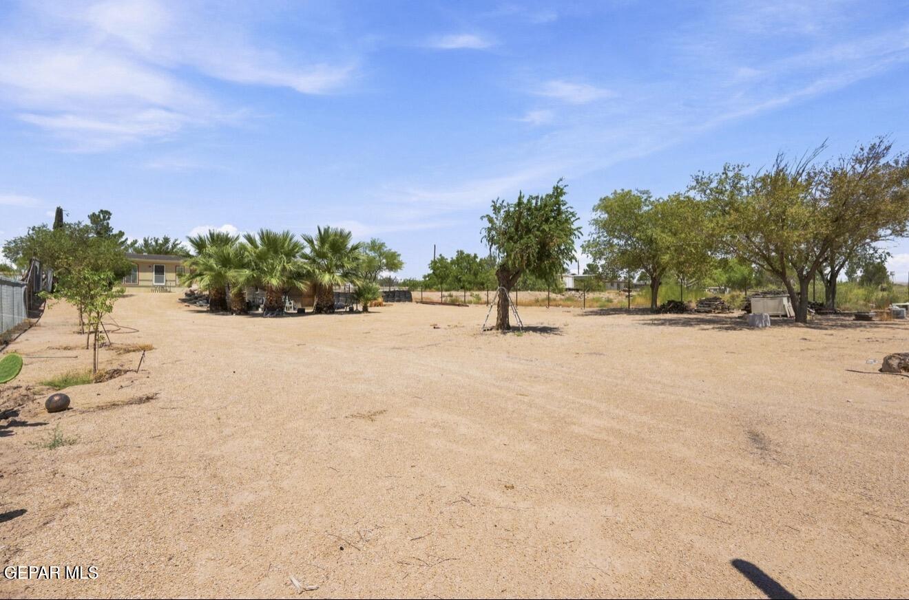 410 Carmen Ginger Road Clint, TX 79836 - Photo 29 of 33 IMG_7895