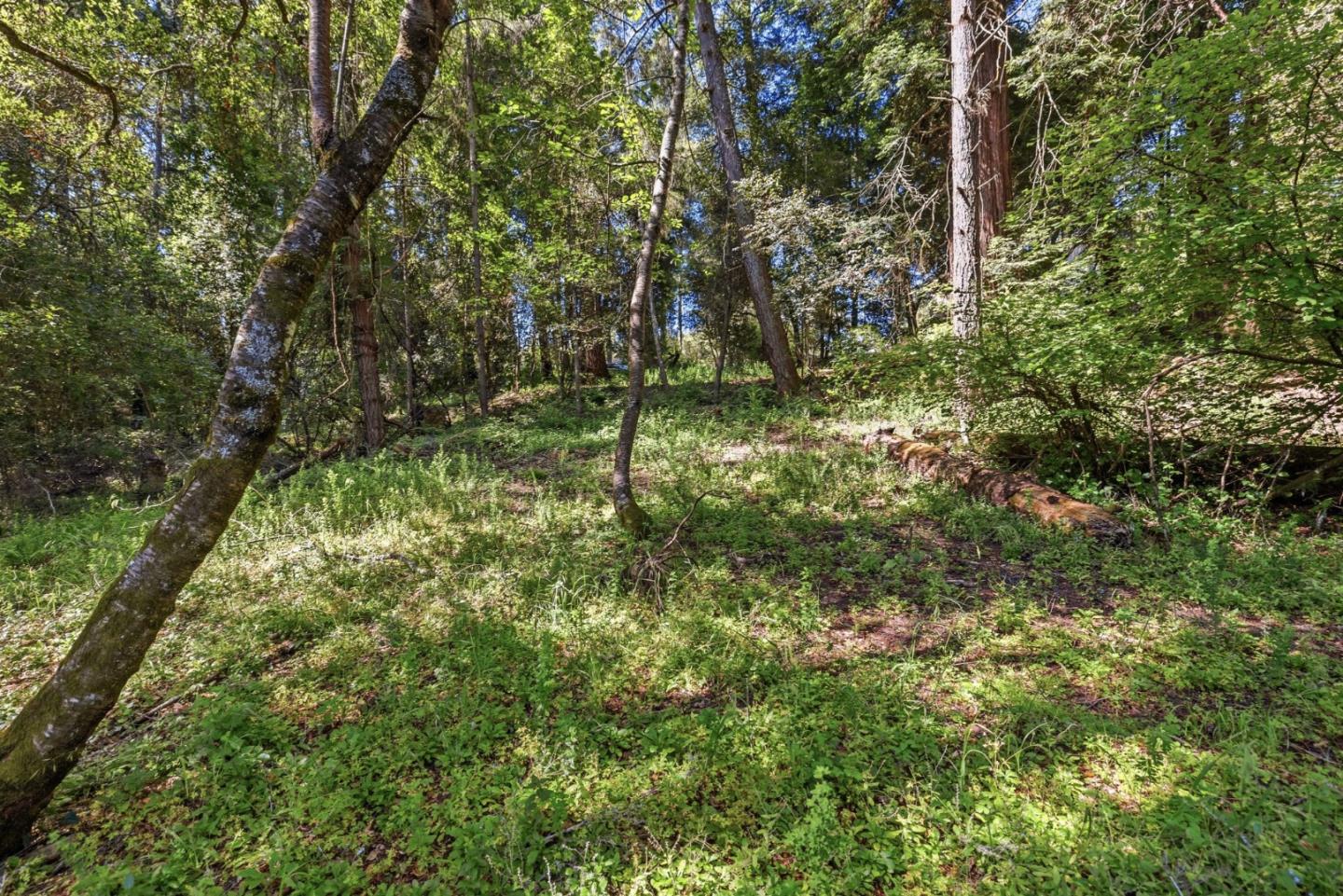 0 Garfield Way Felton, CA 95018 - Photo 5 of 21