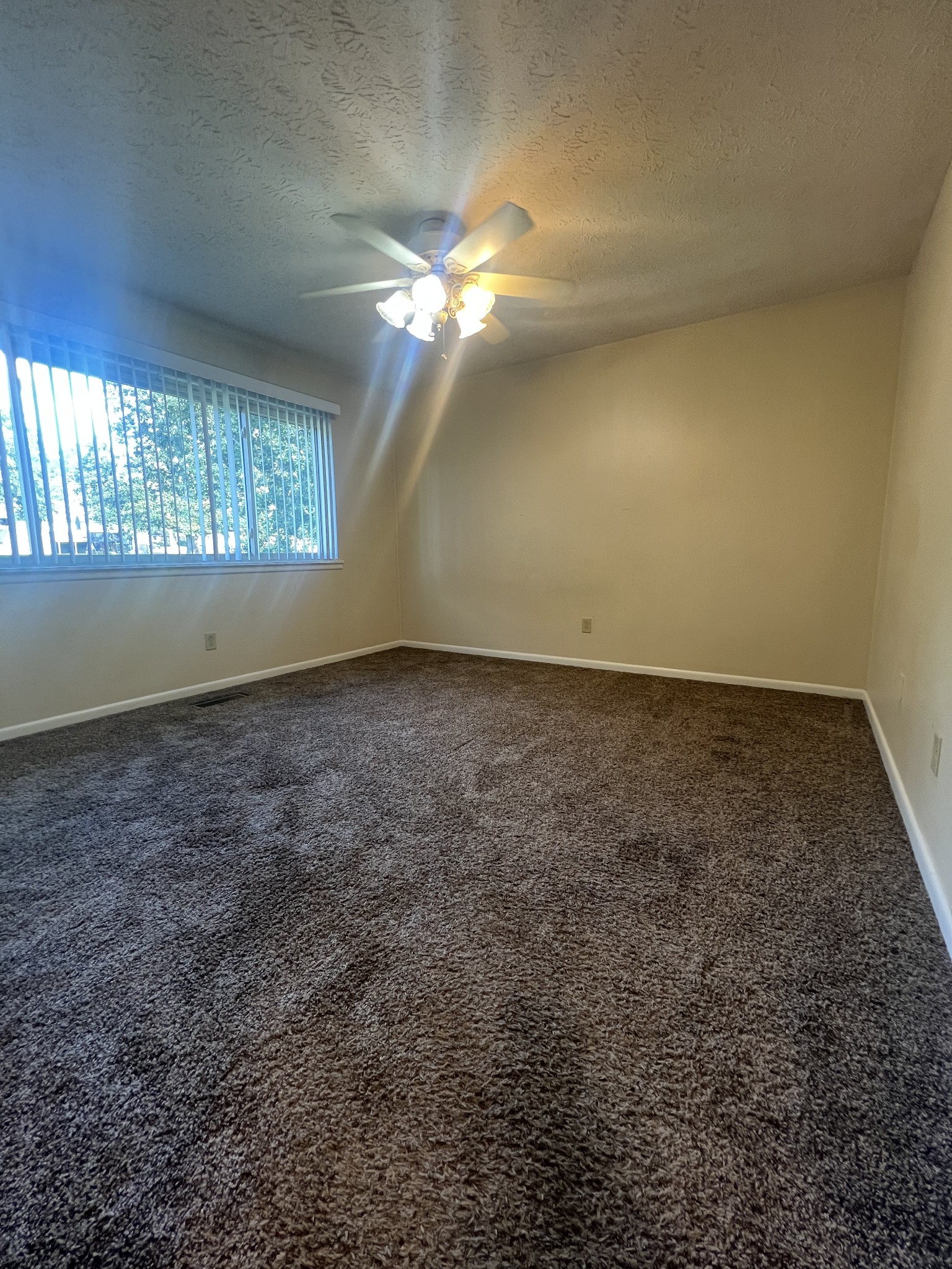 2169 Highway 41 South, Unit 28 Greenbrier, TN 37073 - Photo 5 of 7 an empty room with a window and ceiling fan