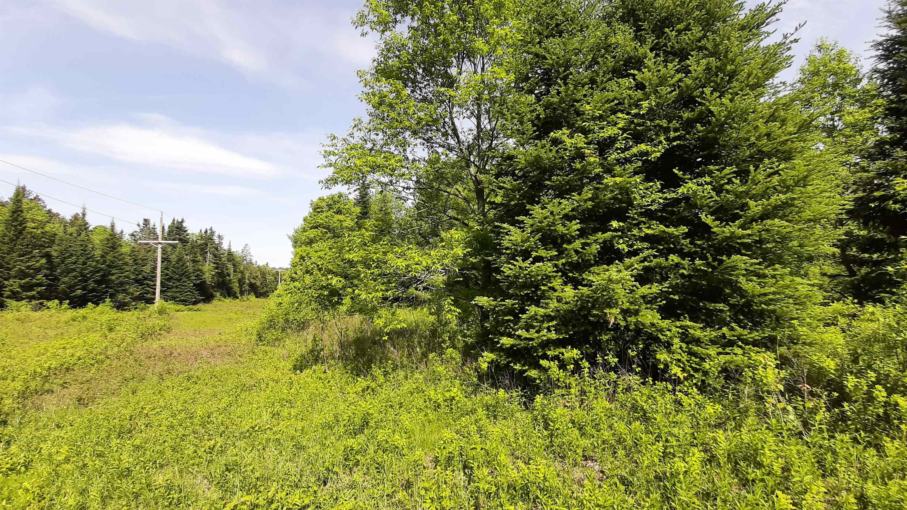 0 Summit Road Mount Holly, VT 05758 - Photo 19 of 37