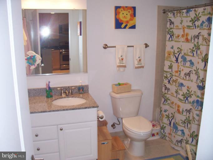 3600 South Glebe Road, Unit 319W Arlington, VA 22202 - Photo 14 of 19 Bath