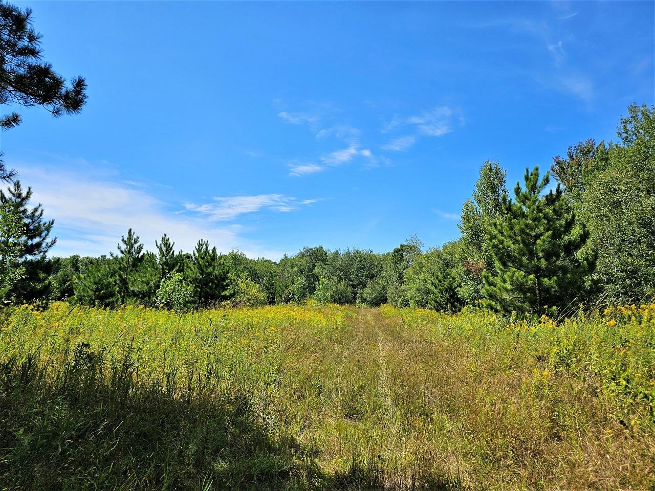 7009 Dahlbecka Road Hurley, WI 54534 - Photo 1 of 12 Gallery Image 1