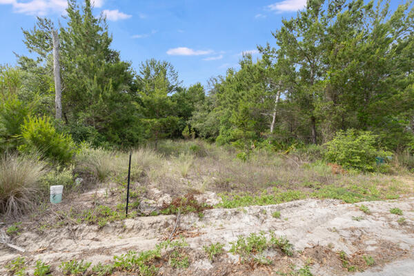 Lot 2 East Willow Mist Rd Inlet Beach Inlet Beach, FL 32461 - Photo 6 of 15 a backyard of a house with lots of green space