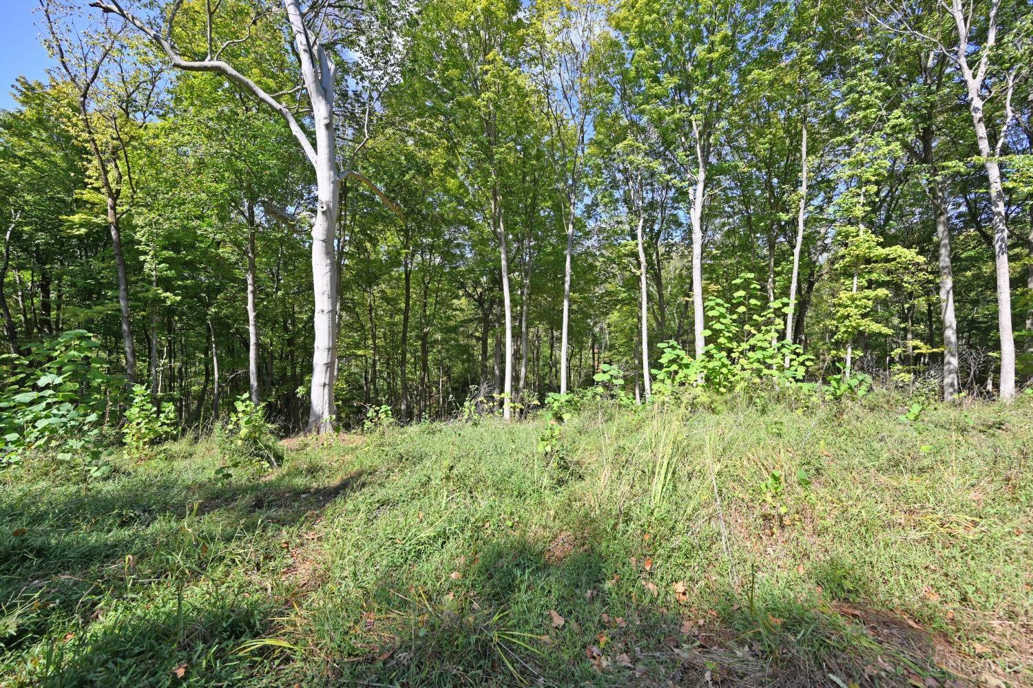 3301 Mt Carmel Road Cincinnati, OH 45244 - Photo 27 of 30
