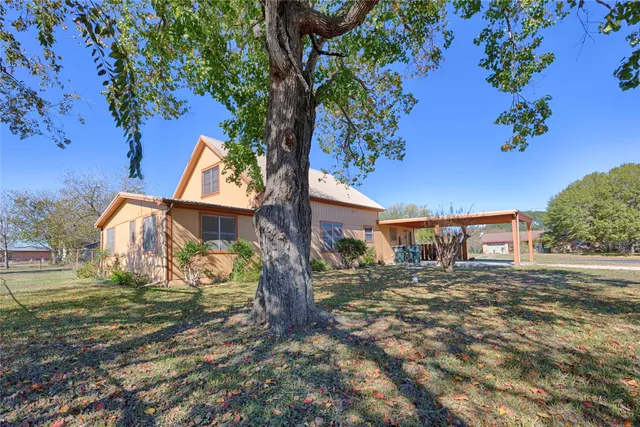 a view of a yard with plants and a large tree