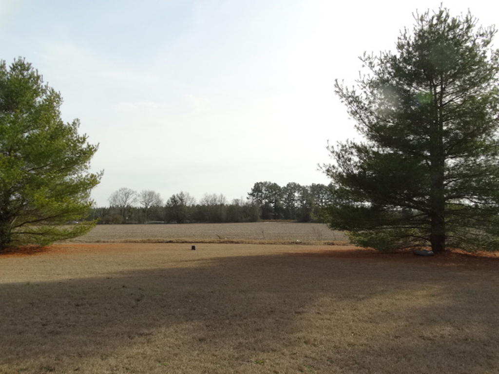 21780 Old Wire Road Wagram, NC 28396 - Photo 17 of 17 View from back