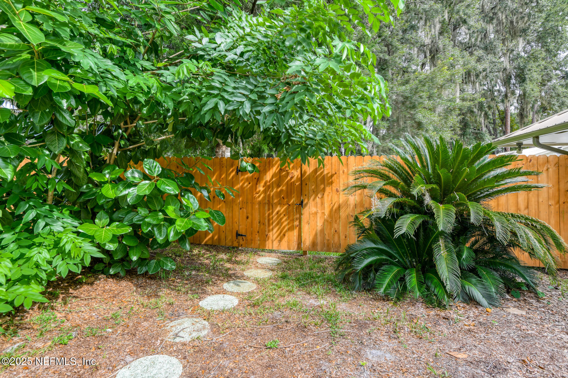 308 Silver Lake Road Palatka, FL 32177 - Photo 47 of 59 recent privacy fence