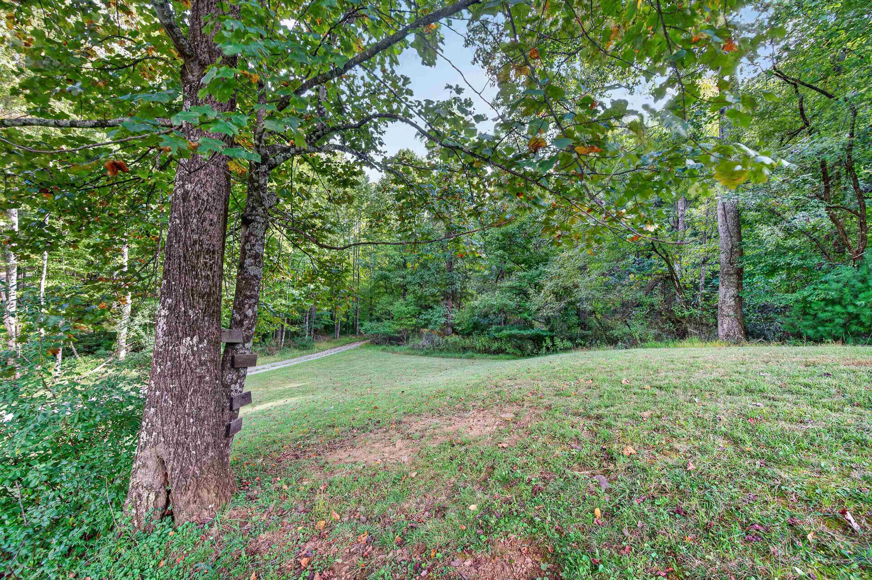 1310 Reedsville Road Northwest Floyd, VA 24091 - Photo 49 of 69 Gallery Image 49