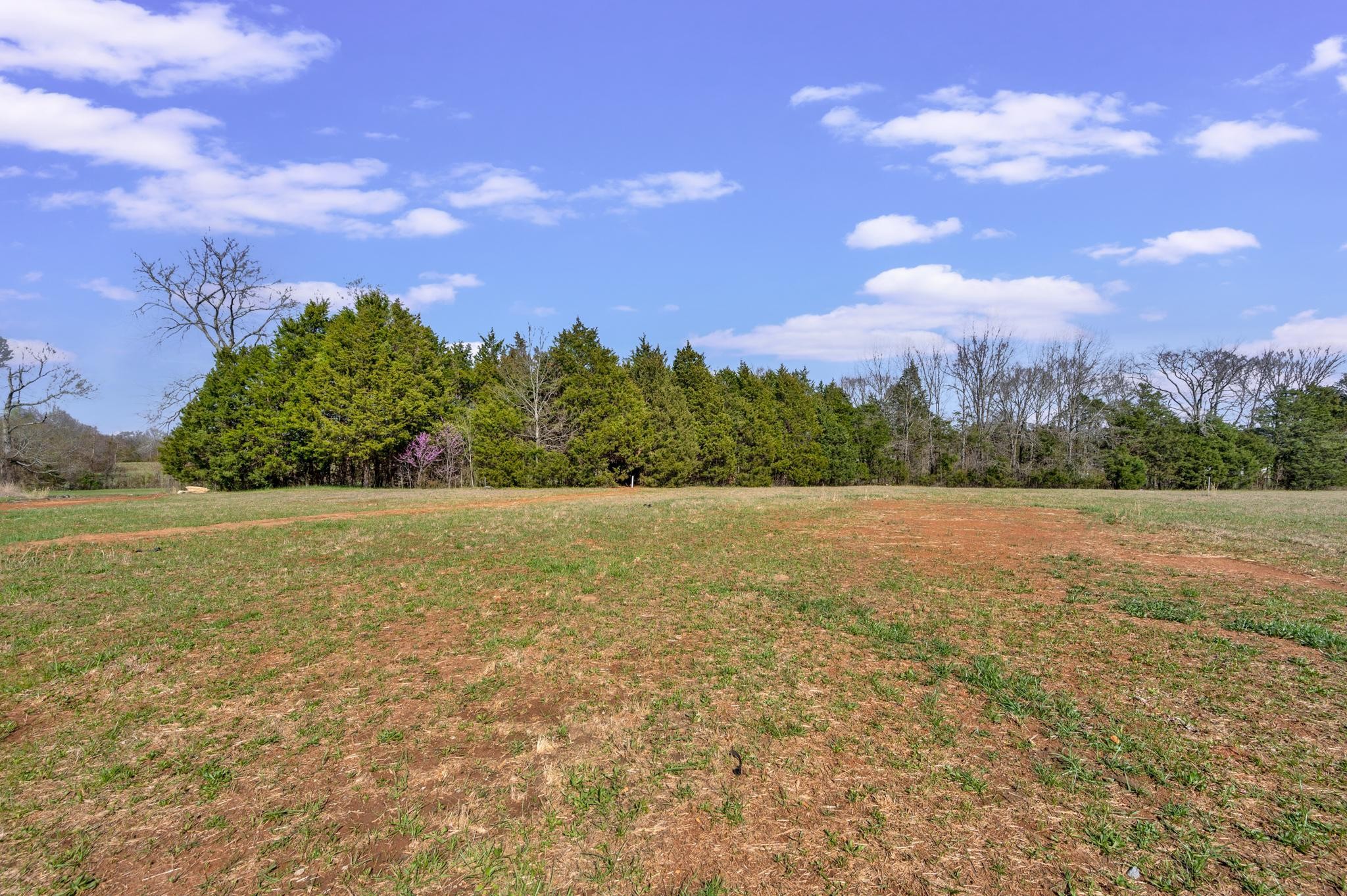 3099 Gwynn Road Lebanon, TN 37090 - Photo 44 of 44 a view of an outdoor space and yard