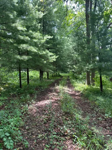 $224,900 | 14765 Millard Road, Three Rivers, MI 49093