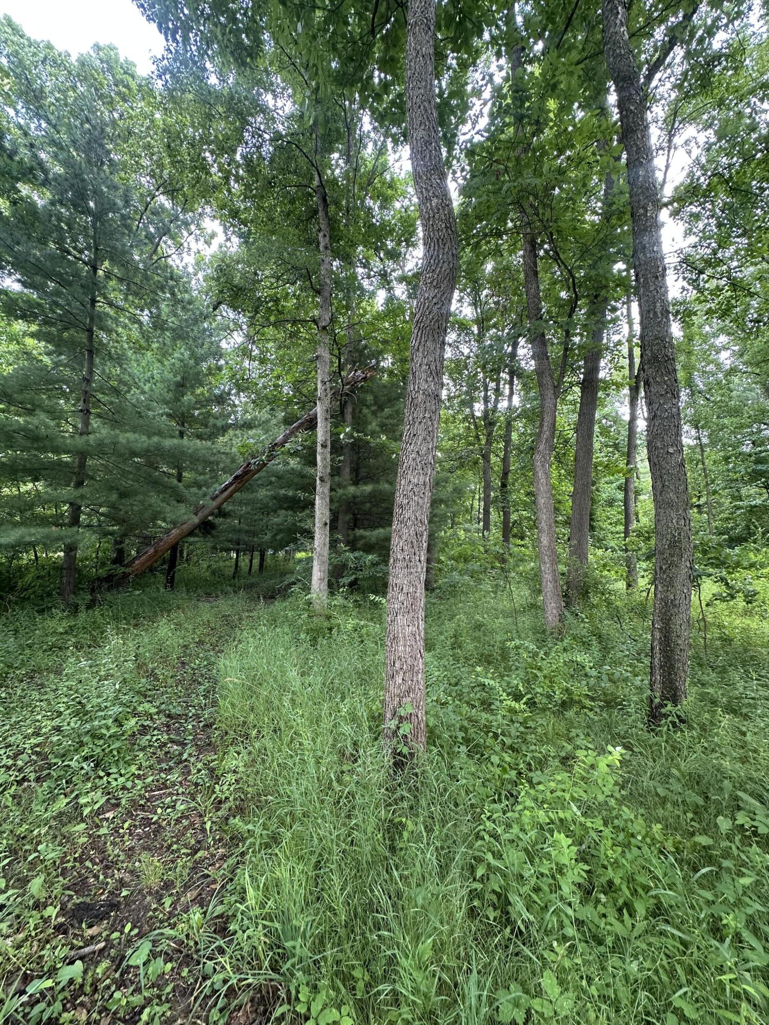 14765 Millard Road Three Rivers, MI 49093 - Photo 7 of 7 IMG_4212