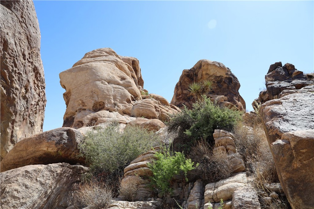 62070 Easterly Place Joshua Tree, CA 92252 - Photo 8 of 12