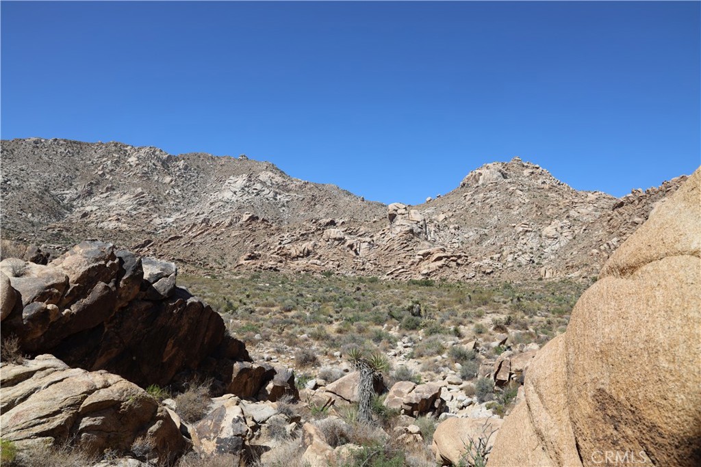62070 Easterly Place Joshua Tree, CA 92252 - Photo 10 of 12 a view of a large tree