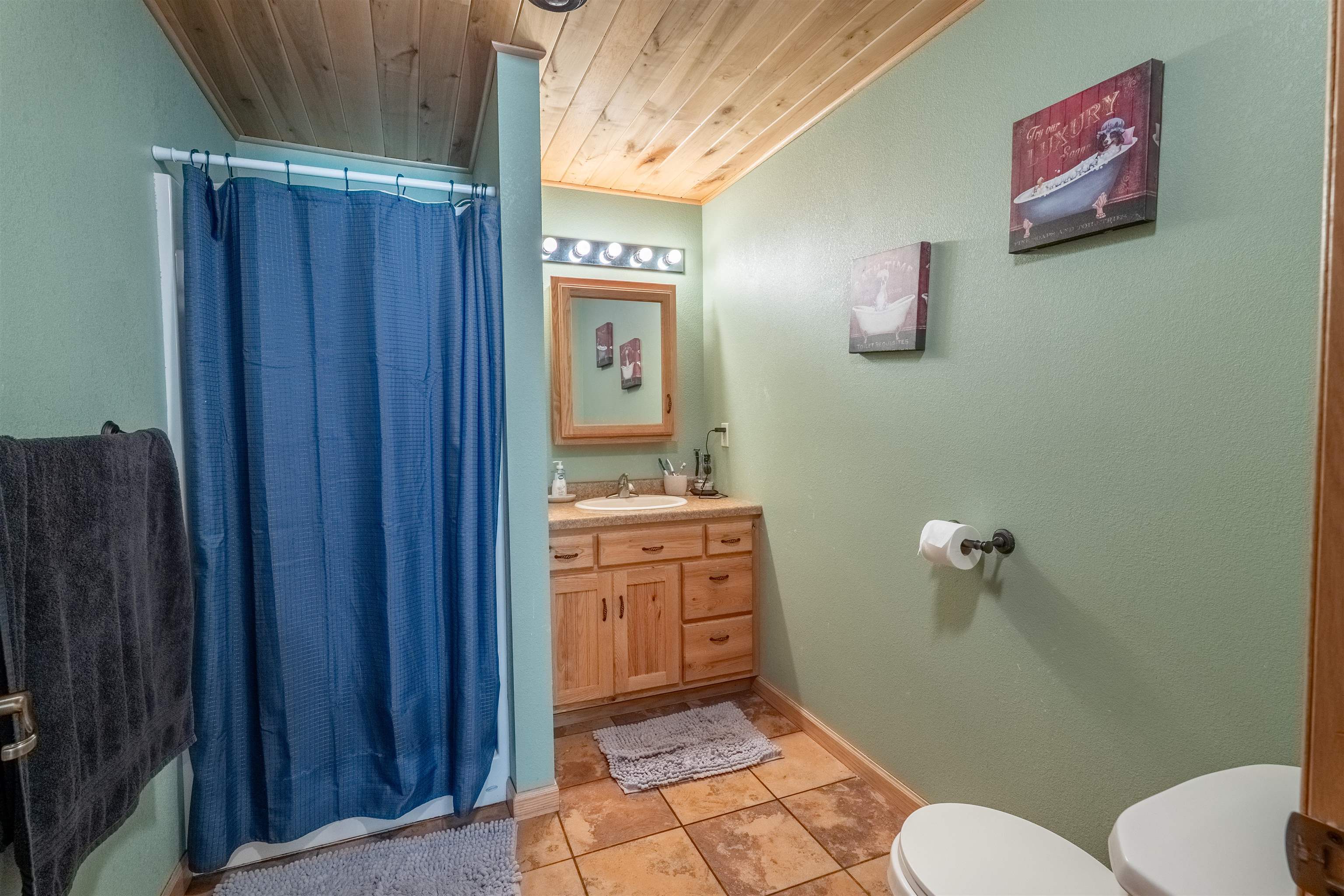 181475 Cihaski Road Birnamwood, WI 54414 - Photo 45 of 60