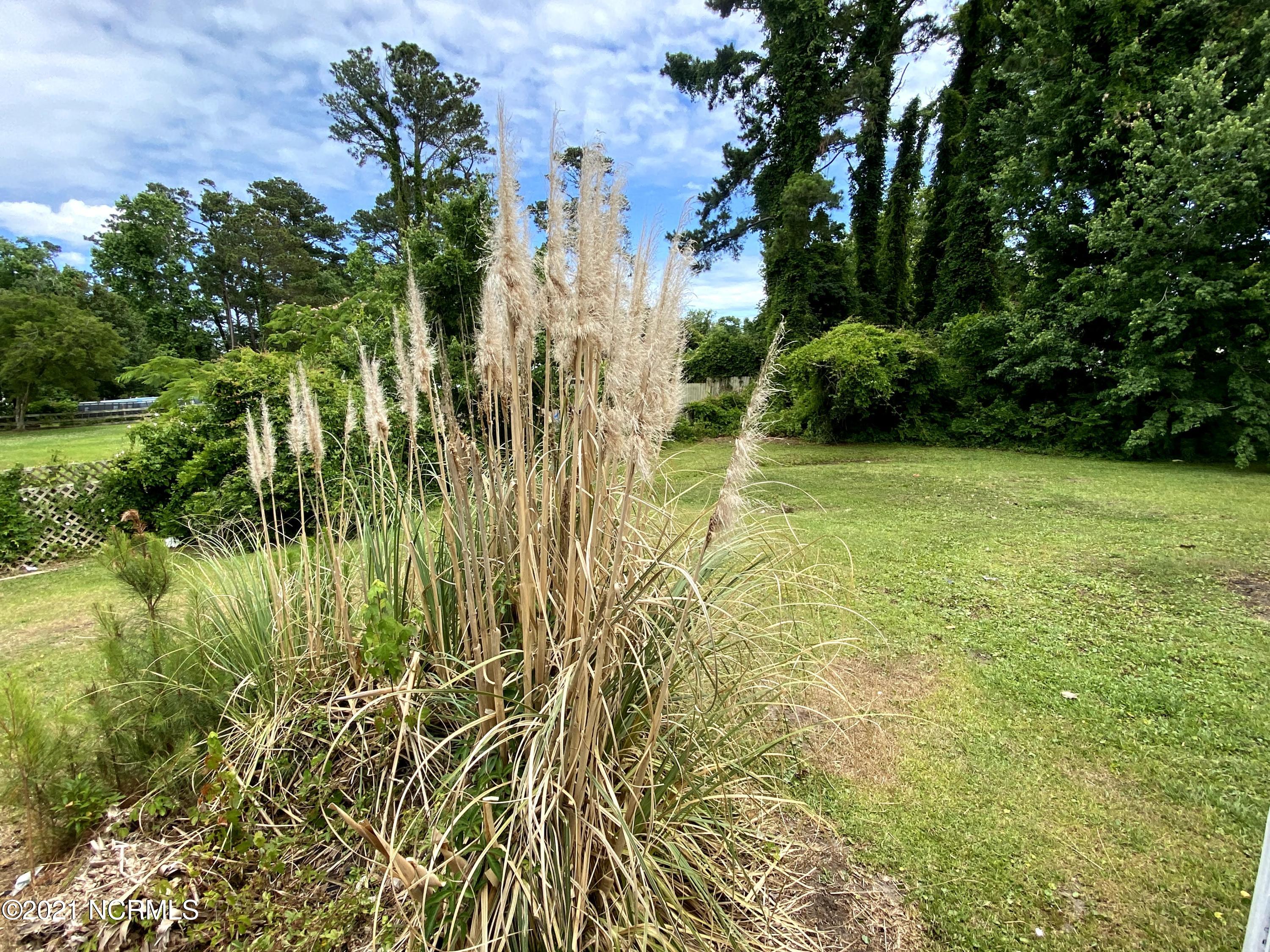 710 North Forty Road Morehead City, NC 28557 - Photo 3 of 69 IMG_2294