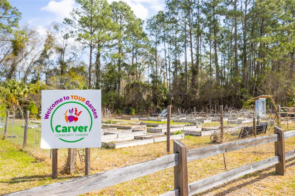 507 South Anderson Street Bunnell, FL 32110 - Photo 19 of 19 a view of a swimming pool with a bench and trees in the background