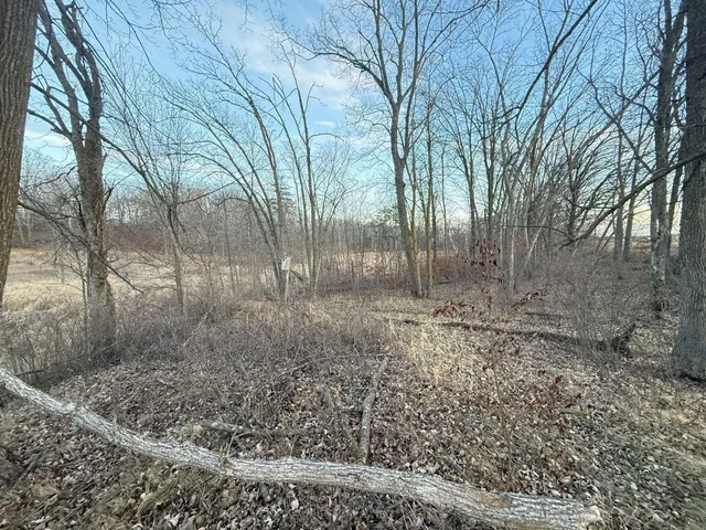 $1 | Tbd 360 Avenue, Frazee, MN 56544