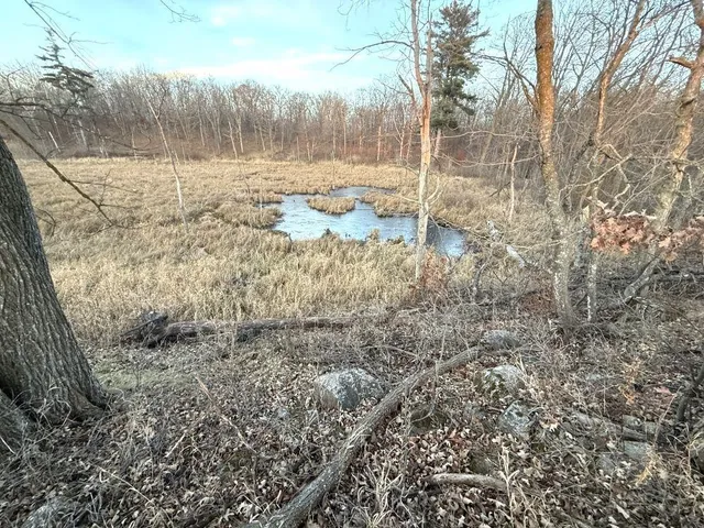 $1 | Tbd 360 Avenue, Frazee, MN 56544