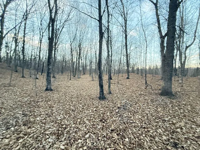 $1 | Tbd 360 Avenue, Frazee, MN 56544