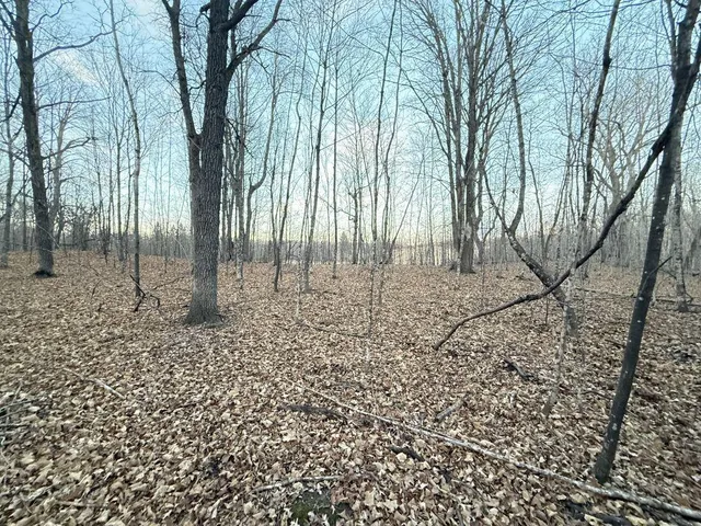 $1 | Tbd 360 Avenue, Frazee, MN 56544