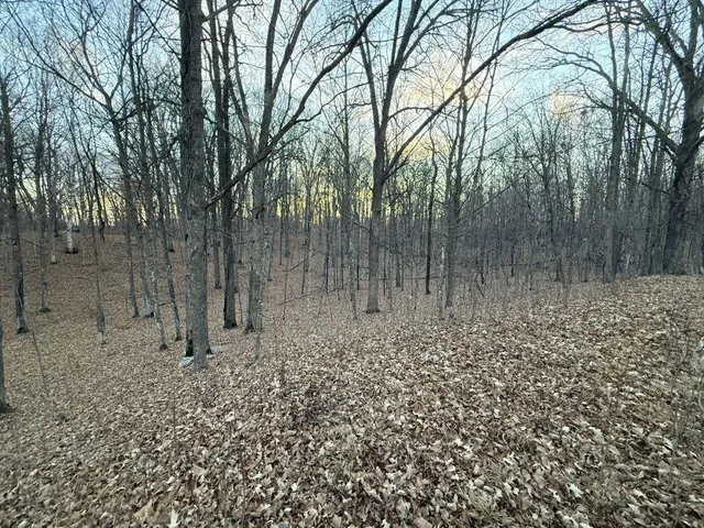 $1 | Tbd 360 Avenue, Frazee, MN 56544