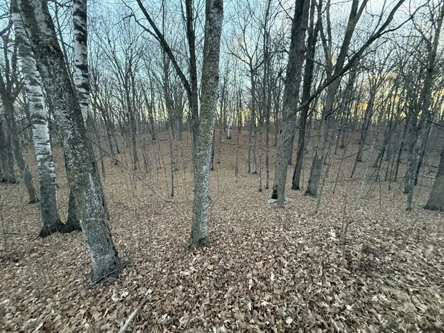 $1 | Tbd 360 Avenue, Frazee, MN 56544