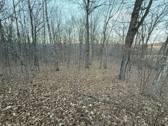 $1 | Tbd 360 Avenue, Frazee, MN 56544