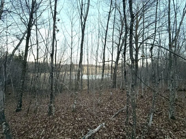 $1 | Tbd 360 Avenue, Frazee, MN 56544