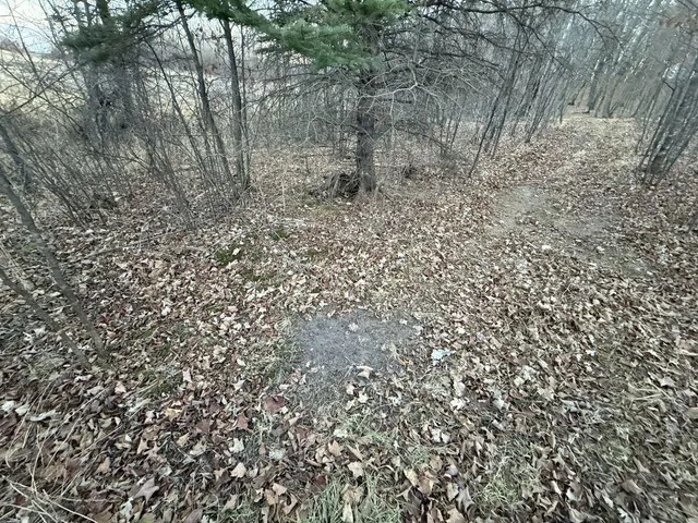 $1 | Tbd 360 Avenue, Frazee, MN 56544