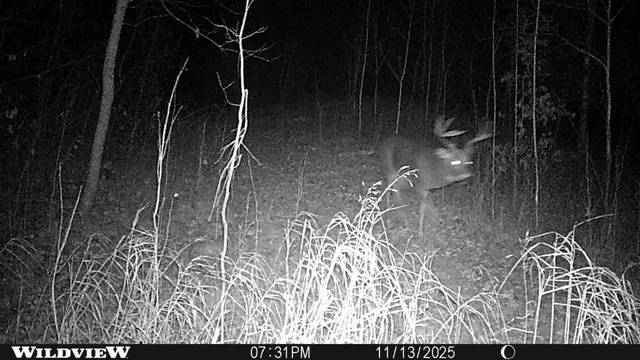 $1 | Tbd 360 Avenue, Frazee, MN 56544