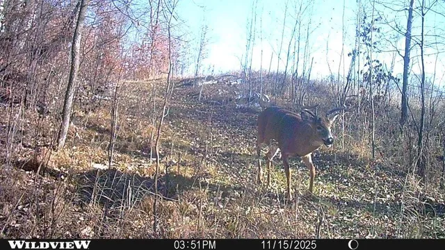 $1 | Tbd 360 Avenue, Frazee, MN 56544