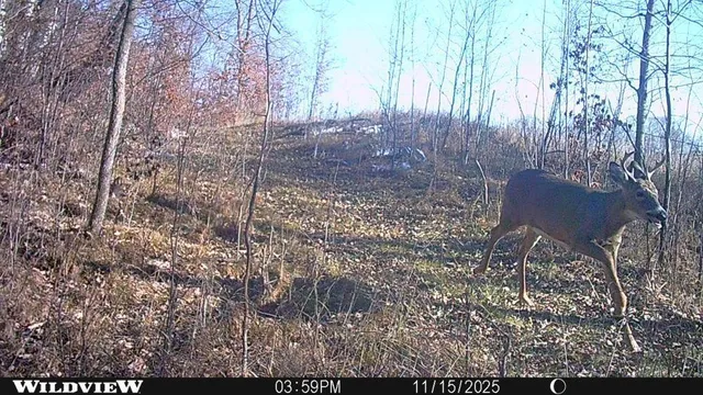 $1 | Tbd 360 Avenue, Frazee, MN 56544