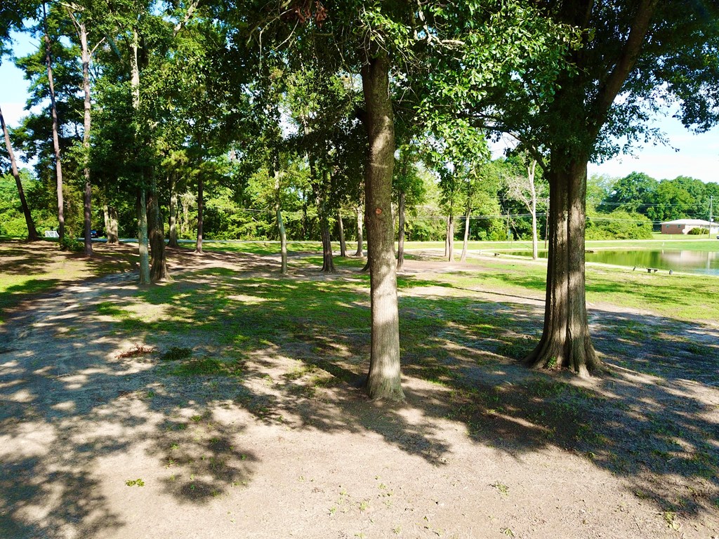 103 Slocomb Al Slocomb, AL 36375 - Photo 40 of 63