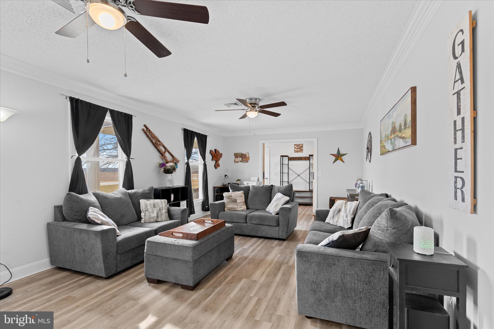 13171 Shiloh Church Road Laurel, DE 19956 - Photo 18 of 42 a living room with furniture and a ceiling fan