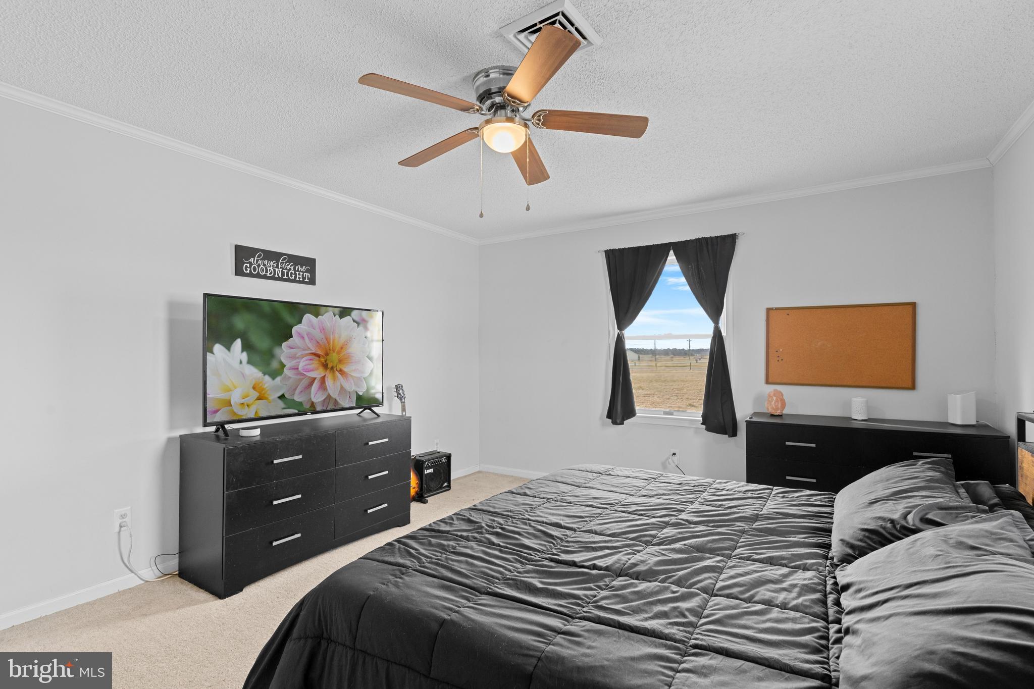 13171 Shiloh Church Road Laurel, DE 19956 - Photo 26 of 42 a bedroom with a bed and a flat screen tv