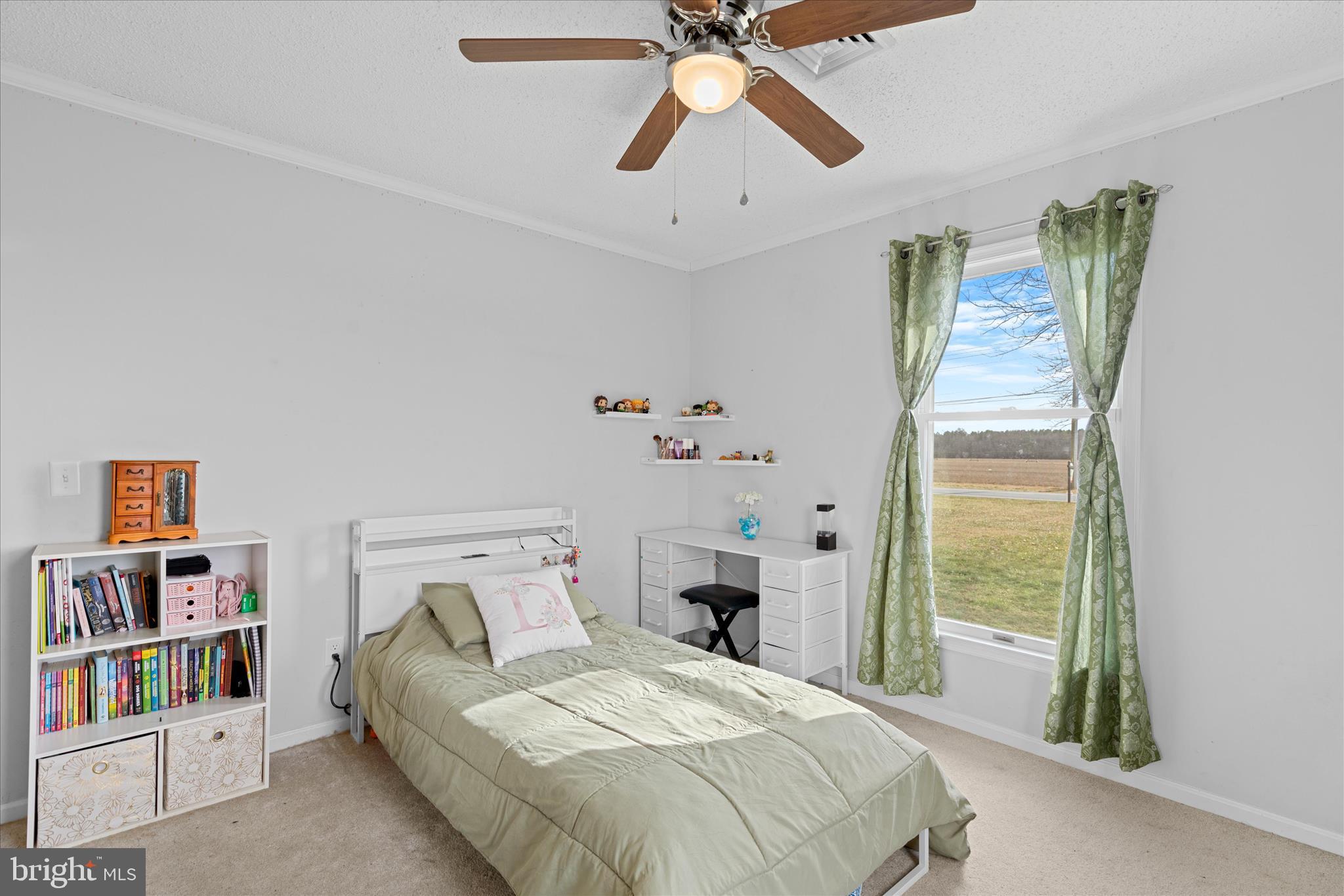 13171 Shiloh Church Road Laurel, DE 19956 - Photo 33 of 42 a bedroom with a bed and a book shelf