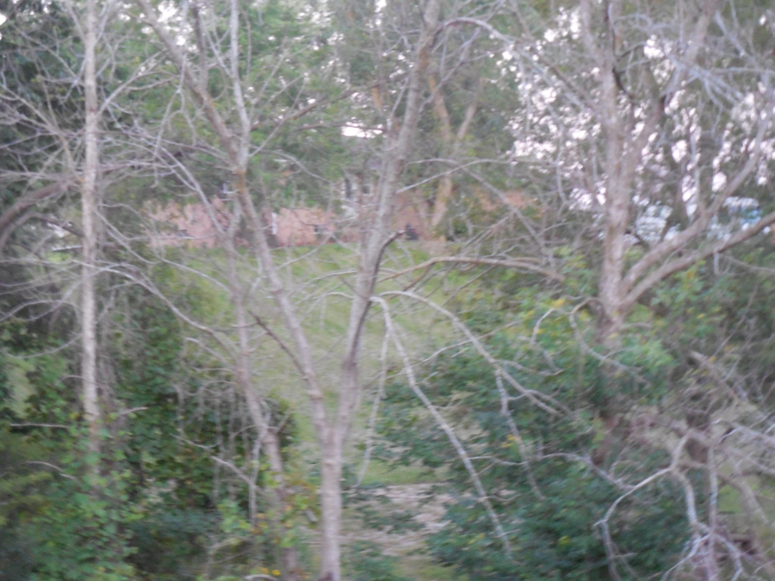 12000 South Grange Road Eagle, MI 48822 - Photo 23 of 23 DSCN7772