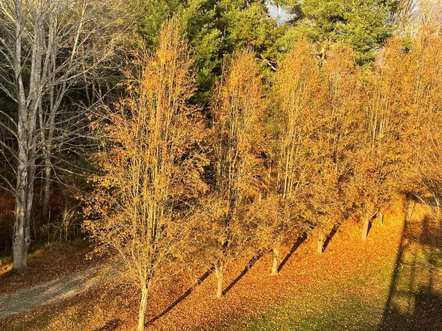 $485,000 | 64 Starlight Lane, Blairsville, GA 30512