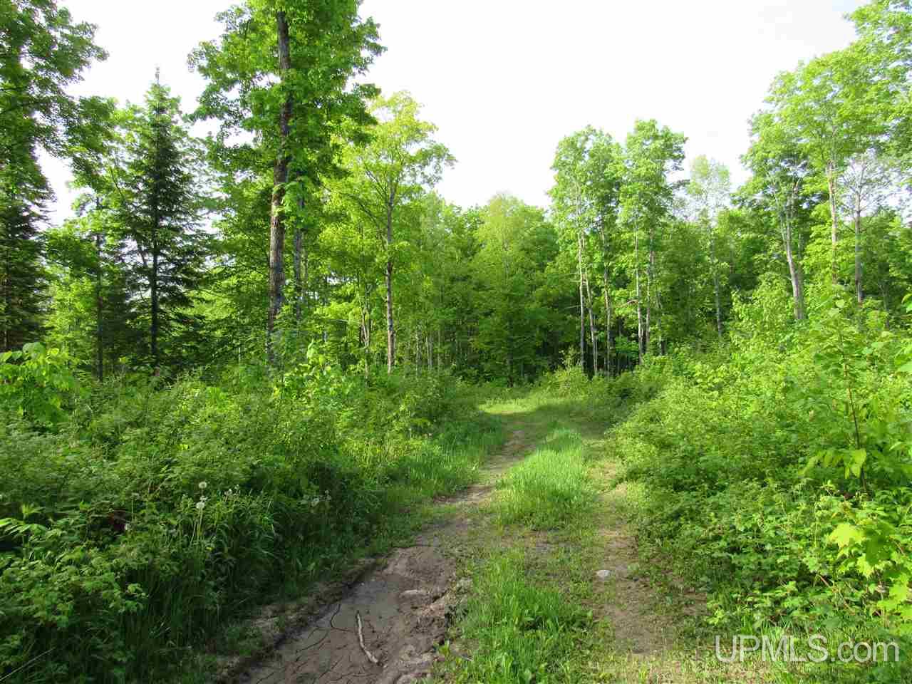 11998 Roy Wright Road Shingleton, MI 49884 - Photo 10 of 36