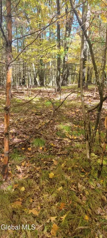 $70,000 | L3 Route 145 Cairo Ny 12413, Cairo, NY 12413