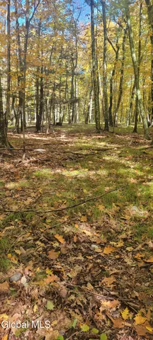 $70,000 | L3 Route 145 Cairo Ny 12413, Cairo, NY 12413