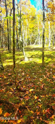 $70,000 | L3 Route 145 Cairo Ny 12413, Cairo, NY 12413