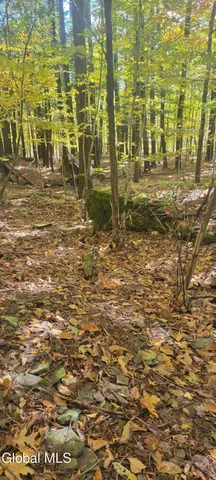 $70,000 | L3 Route 145 Cairo Ny 12413, Cairo, NY 12413