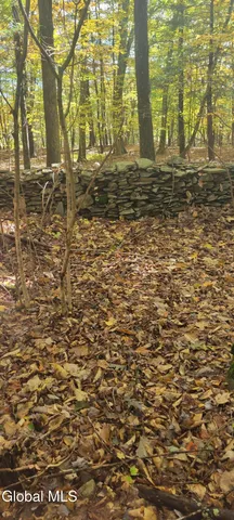 $70,000 | L3 Route 145 Cairo Ny 12413, Cairo, NY 12413