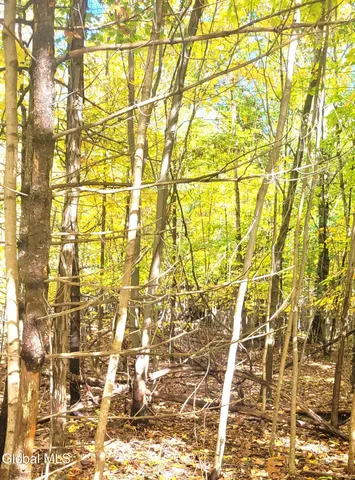 $70,000 | L3 Route 145 Cairo Ny 12413, Cairo, NY 12413