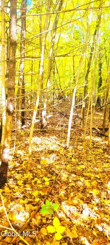 $70,000 | L3 Route 145 Cairo Ny 12413, Cairo, NY 12413