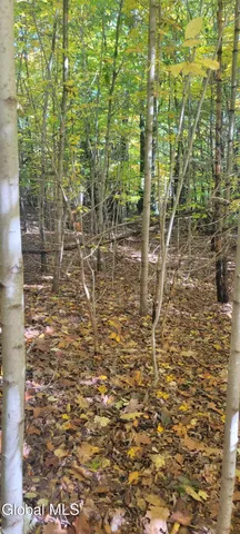 $70,000 | L3 Route 145 Cairo Ny 12413, Cairo, NY 12413